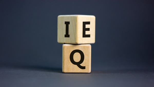 EQ in Action: How Emotional Intelligence Drives Project Management Success